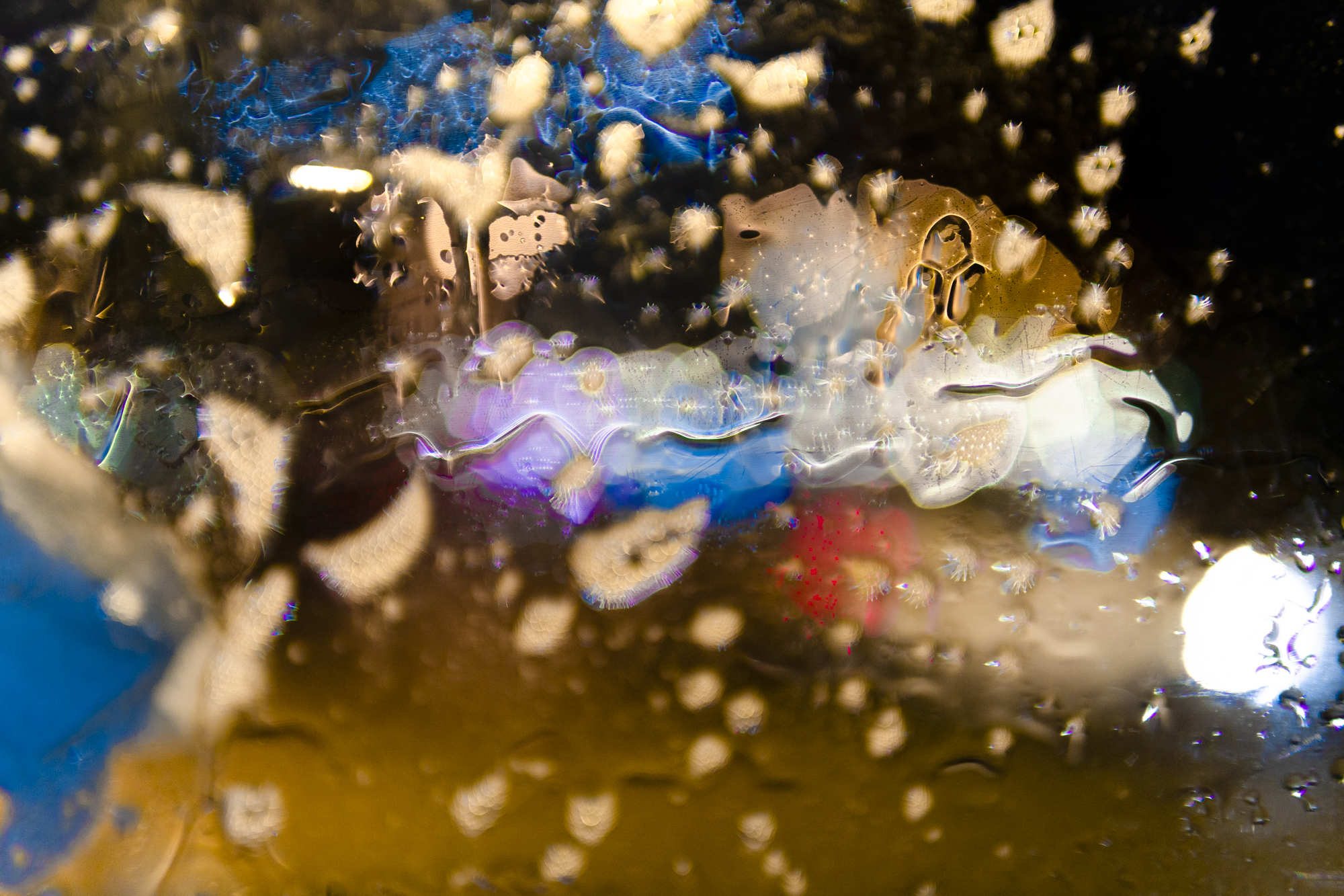Pulp Bubbles