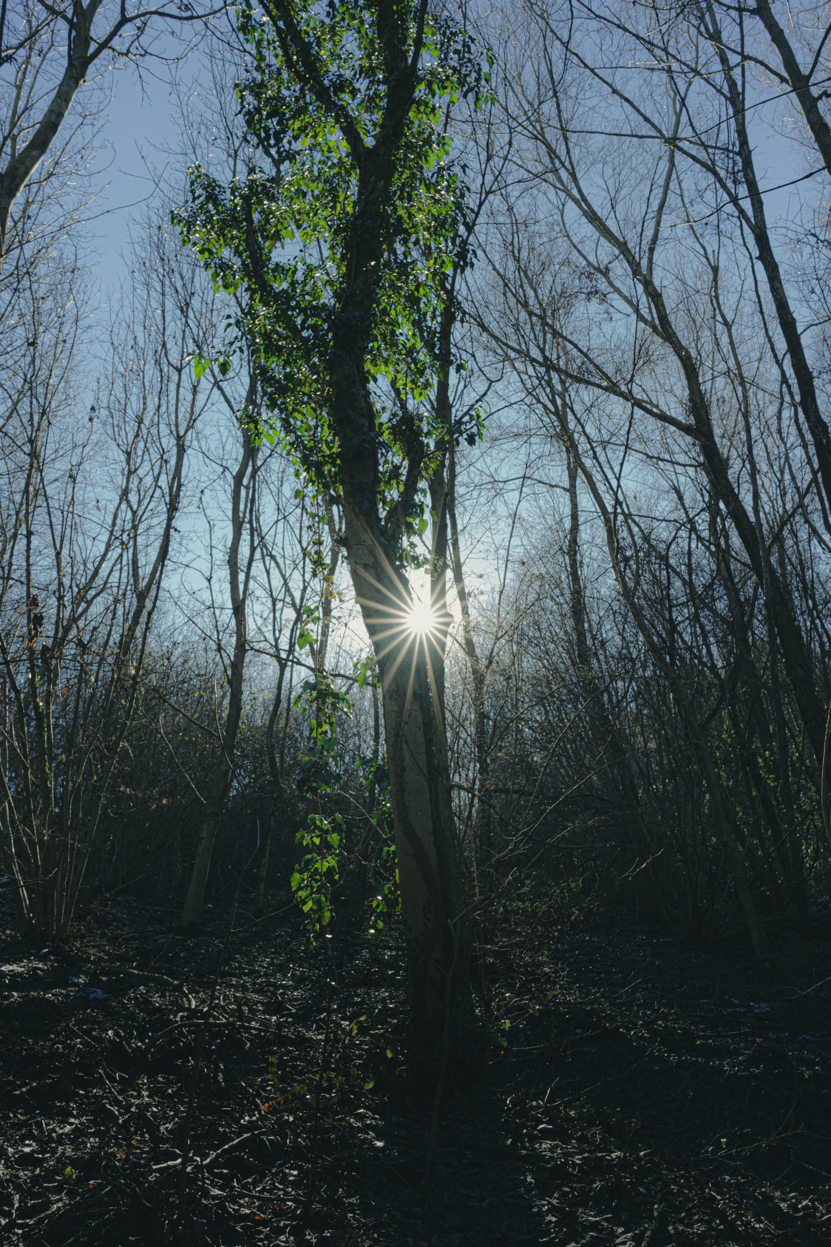 InDaMorning#1